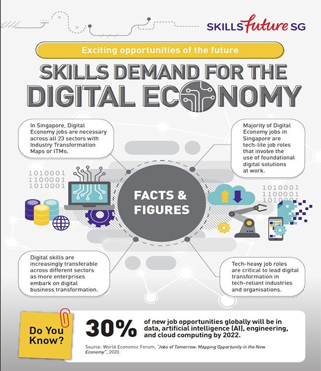 Skills demand for the digital economy